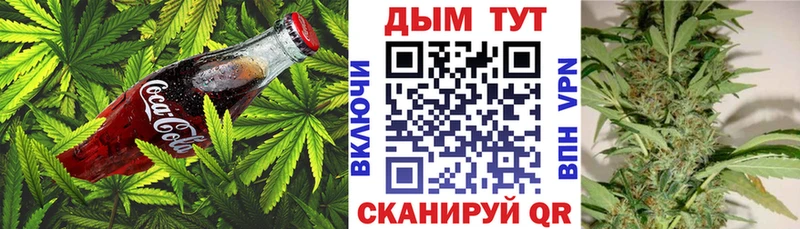 Купить закладки  Лесозаводск  Canna-Cookies марихуана 