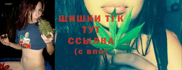 трава Инта