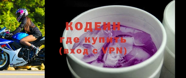 мдпв Каменка