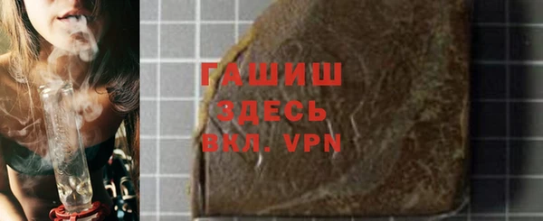 мдпв Каменка