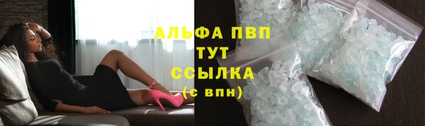 мдпв Каменка