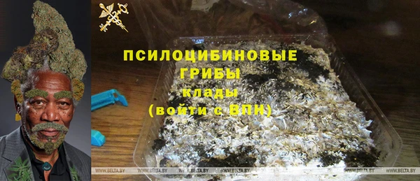мдпв Каменка