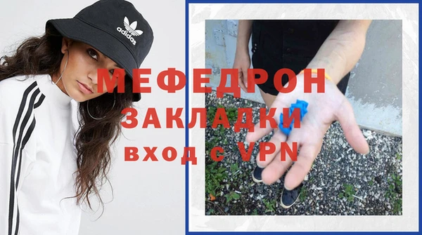 мдпв Каменка