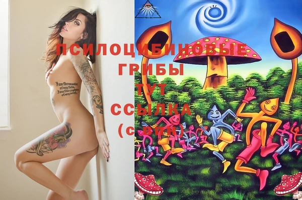 тгк Каменск-Шахтинский