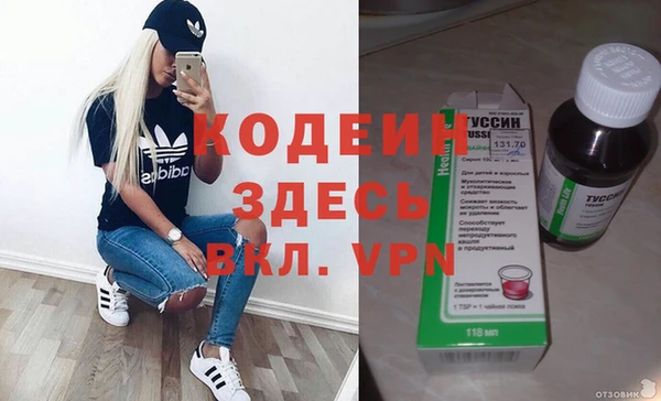 мдпв Каменка