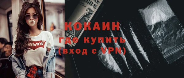 мдпв Каменка